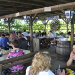 2021-08-15 - Evergreen Sunnti (5)