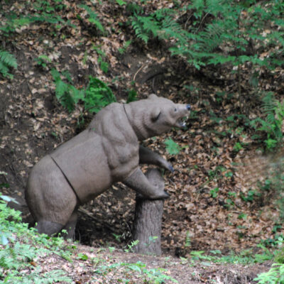 Ein Grizzly bewacht die Labe