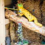 ... zu den Fotos ...