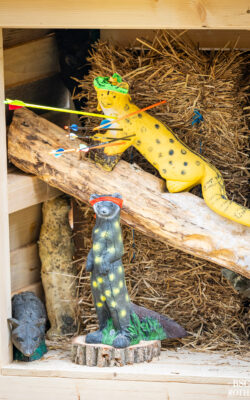 ... zu den Fotos ...