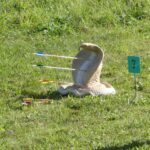 547380523_783359814451835_8540881325887801534_n